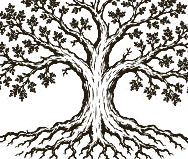 A hand-drawn family tree with spreading roots.